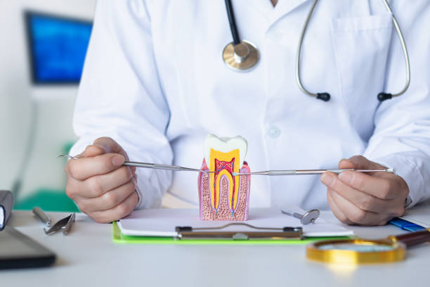 Best Root Canal Emergency Dentist  in Curtice, OH
